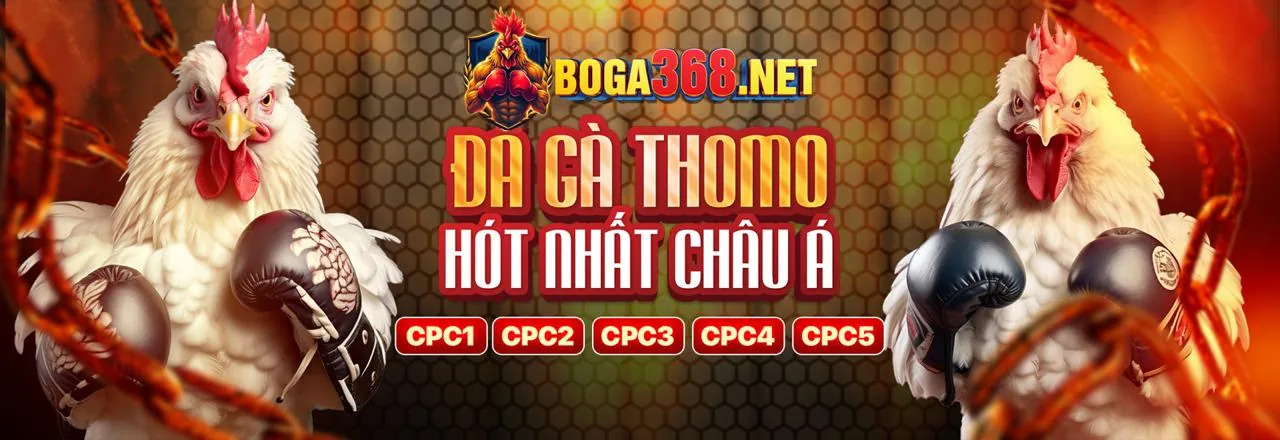 Đá gà trực tuyến kịch tính tại daga68 info
